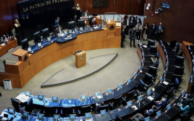 LA CÁMARA DE DIPUTADOS RECIBIÓ MINUTA DEL SENADO EN MATERIA DE SOBERANÍA NACIONAL